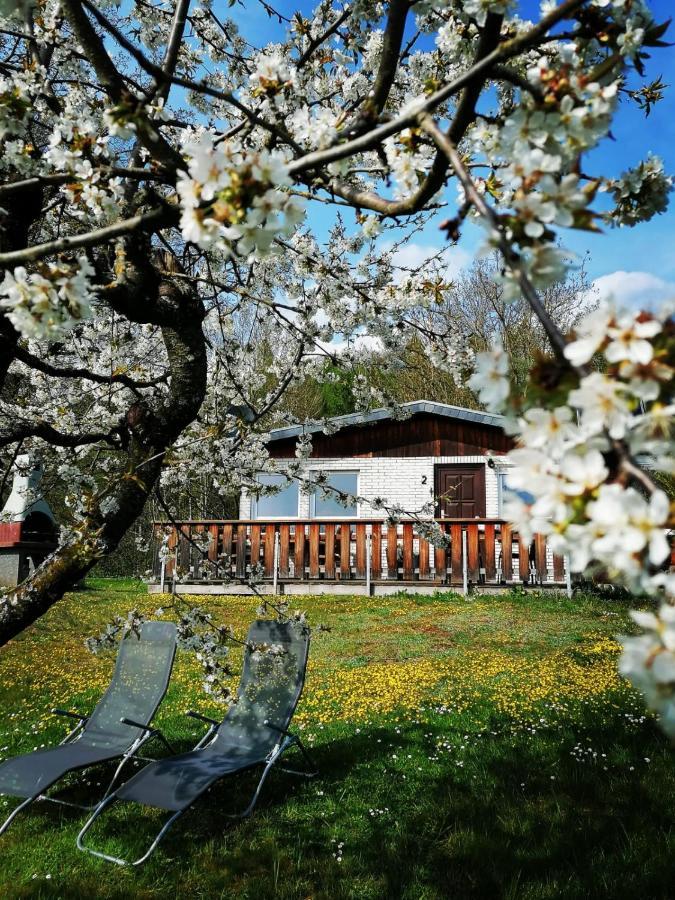 Ferienhaus Chiara, Suedharz, Harztor Ilfeld Luaran gambar